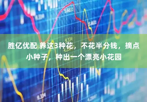 胜亿优配 养这3种花，不花半分钱，摘点小种子，种出一个漂亮小花园